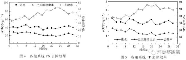 研究：生活污水植物净化系统