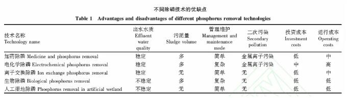 MBBR-离子交换除磷工艺在农村生活污水处理中的应用分析