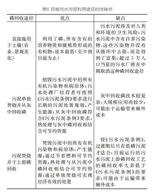 德国污水污泥处理处置政策及磷回收技术解析与启示