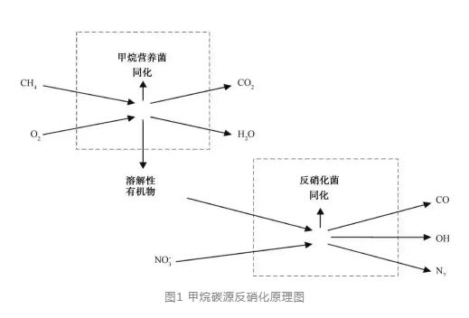 甲烷碳源的反硝化作用机理与工艺技术研究进展