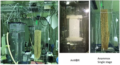 日本污水处理新概念 基于厌氧MBR与厌氧氨氧化的低碳设计