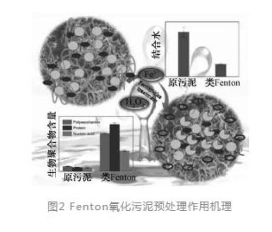 污泥脱水预处理技术综述