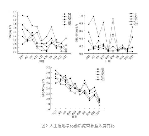 水源地人工湿地水质净化效果及其对浮游植物的影响