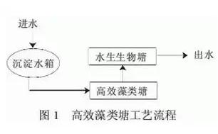 盘点 | 22个农村污水处理技术大全