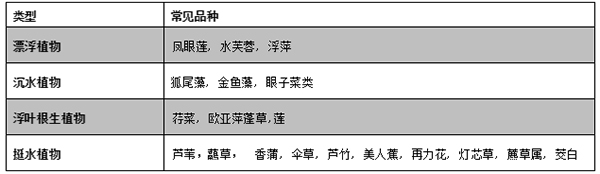 专家：细数植物在人工湿地污水处理中的作用