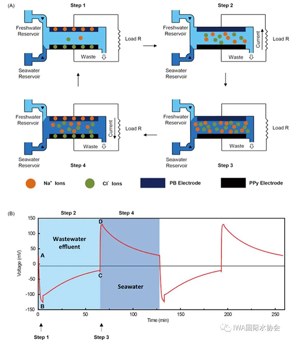 前沿｜污水产能新技术——混合污水与海水回收电能