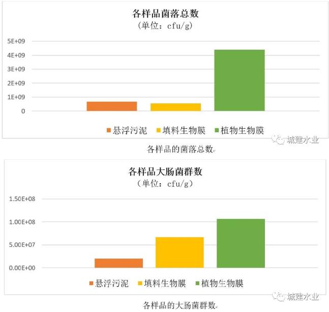 生态反应器协同处理污水效能研究与示范研究成果