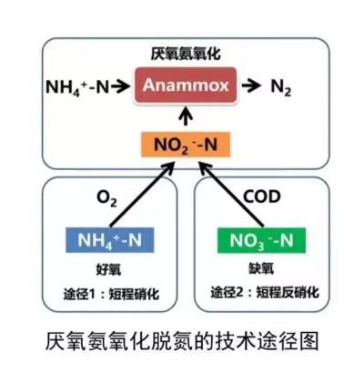 美国启动短程反硝化－Anammox规模化应用研究！