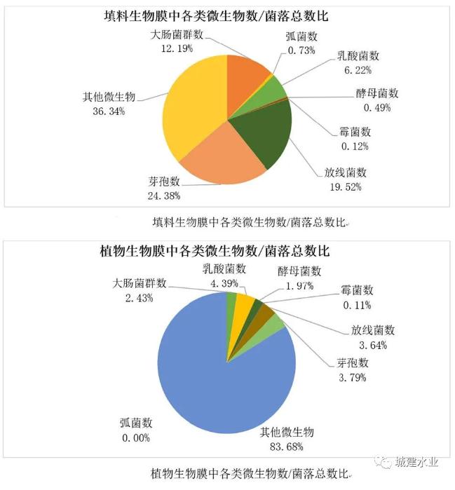 生态反应器协同处理污水效能研究与示范研究成果