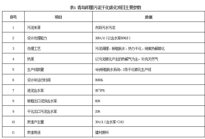 市政污泥干化碳化成套工艺技术介绍及产业化案例分享