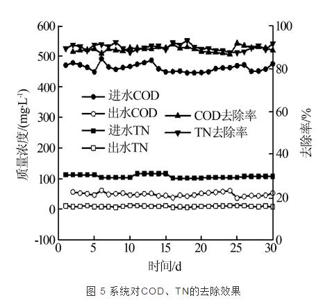 前置反硝化生物滤池处理化工企业生化尾水