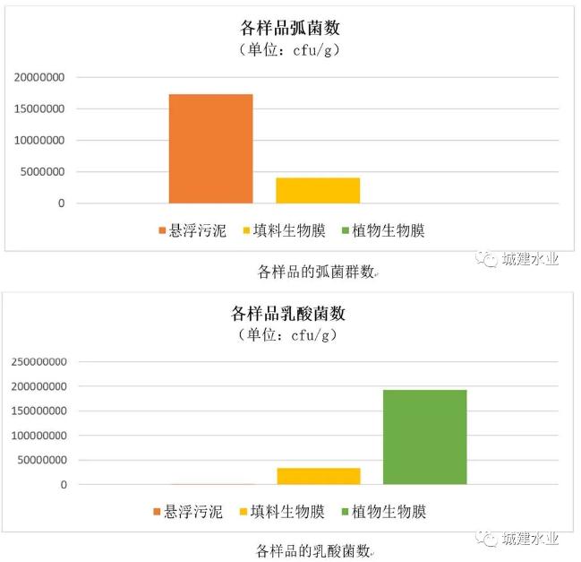 生态反应器协同处理污水效能研究与示范研究成果