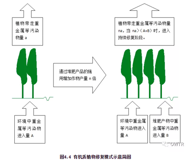 城镇污水厂污泥处置路线与GI模式探讨