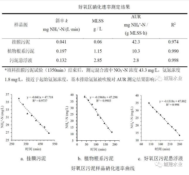 生态反应器协同处理污水效能研究与示范研究成果