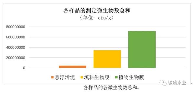 生态反应器协同处理污水效能研究与示范研究成果