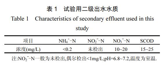 城市污水厂部分反硝化滤池启动及运行