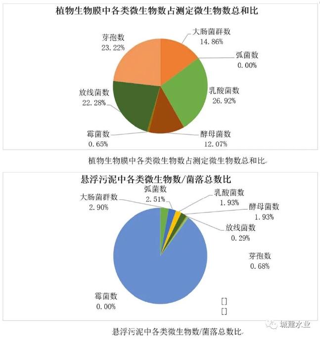 生态反应器协同处理污水效能研究与示范研究成果