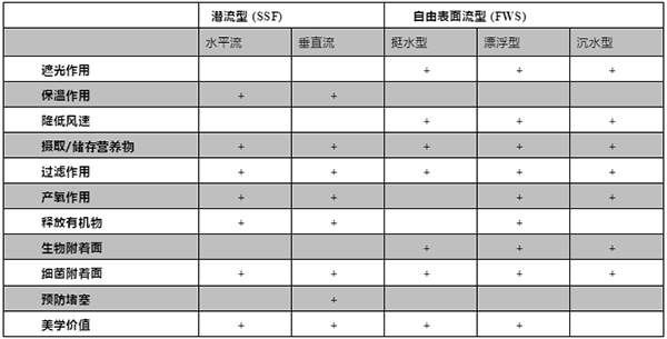 专家：细数植物在人工湿地污水处理中的作用