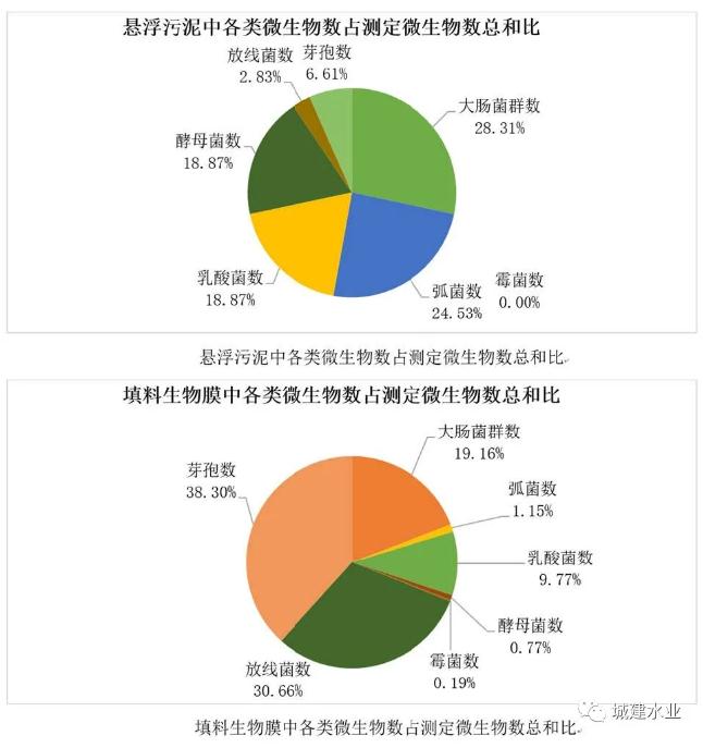 生态反应器协同处理污水效能研究与示范研究成果