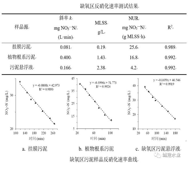 生态反应器协同处理污水效能研究与示范研究成果