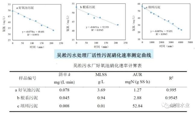 生态反应器协同处理污水效能研究与示范研究成果