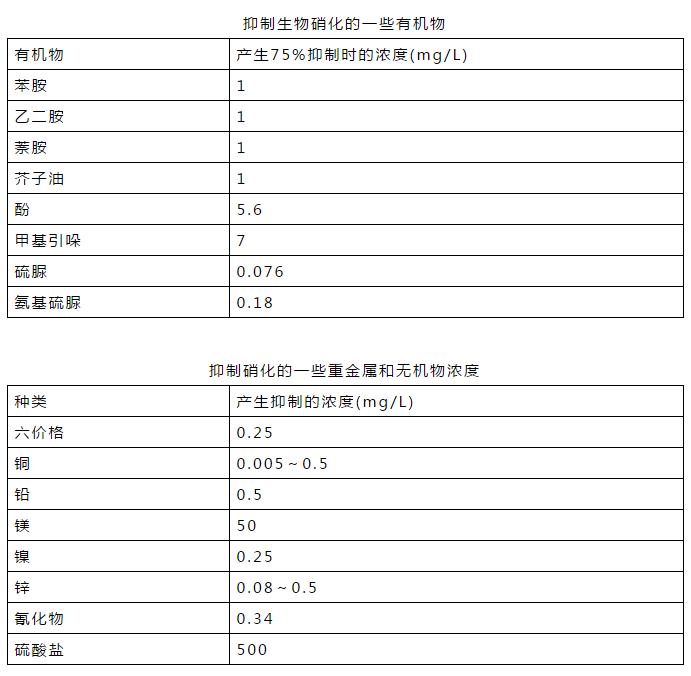 氨氮超标？你应该知道这些！