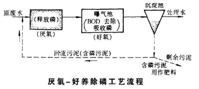 污水的生物除磷工艺