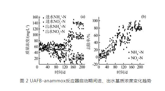 升流式厌氧氨氧化流化床反应器脱氮效能研究