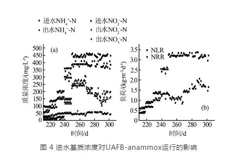 升流式厌氧氨氧化流化床反应器脱氮效能研究