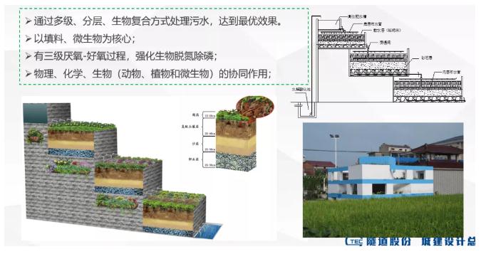 我国农村污水处理的现状、问题及对策—以上海浦东为例