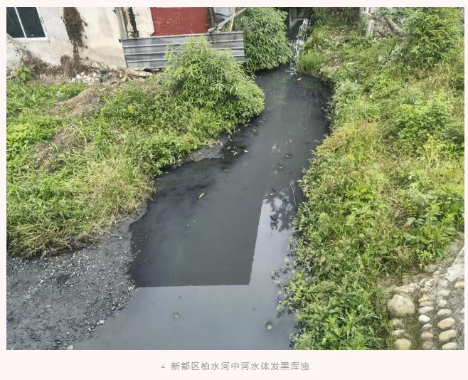 成都市新都区、双流区黑臭水体治理不彻底 问题依然突出