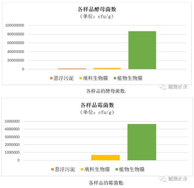 生态反应器协同处理污水效能研究与示范研究成果