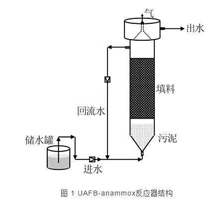 升流式厌氧氨氧化流化床反应器脱氮效能研究