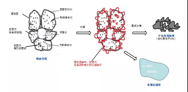 污泥热碱分解处理处置及资源化应用案例及分析