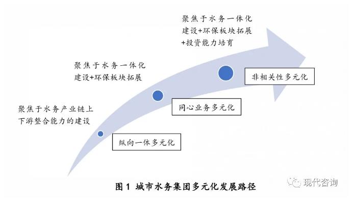 城市水务集团多元化发展战略