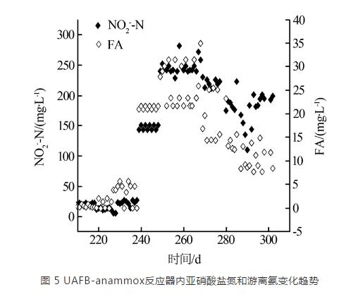 升流式厌氧氨氧化流化床反应器脱氮效能研究