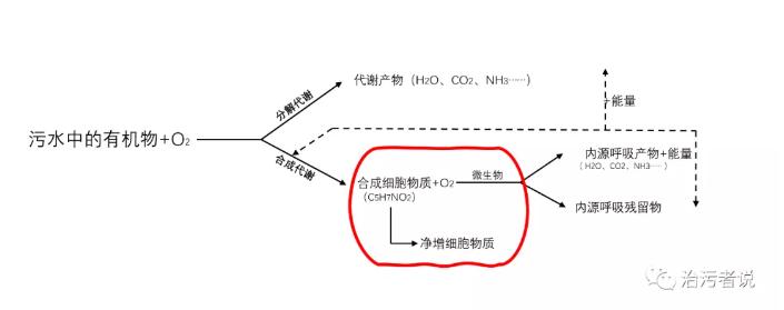 污水厂的基本理论（三）——物质不灭