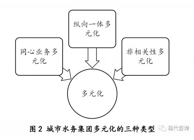 城市水务集团多元化发展战略