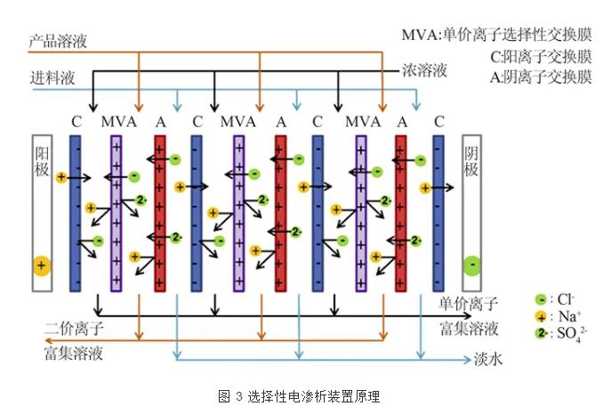 新型电渗析工艺的技术发展与应用