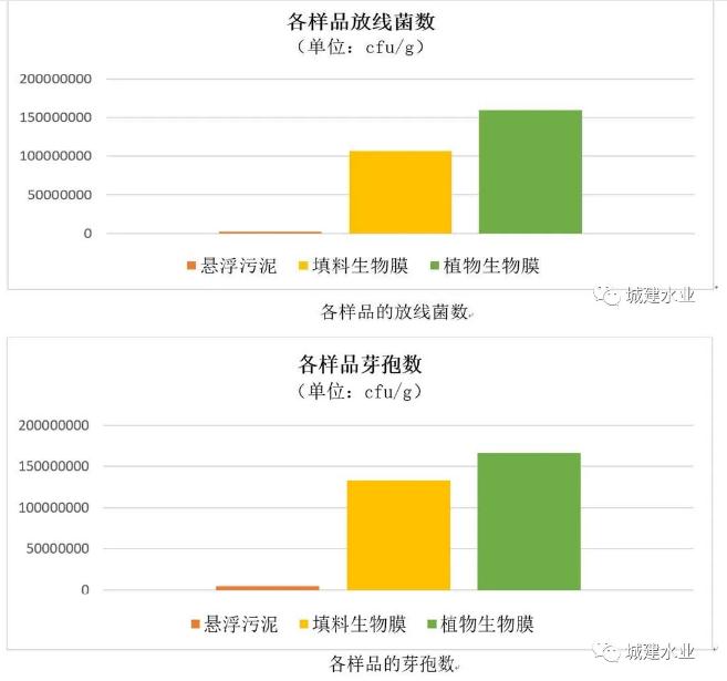 生态反应器协同处理污水效能研究与示范研究成果