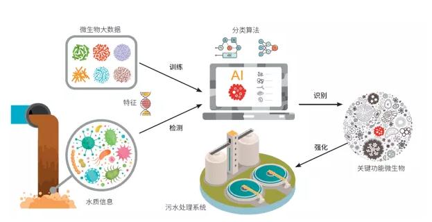 新视野｜AI防治水污染 是追热点还是医痛点？一文剖析城市水安全问题及对策