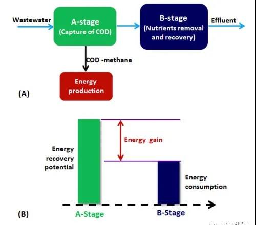 COD捕集：通往市政污水处理能源自给的可行途径