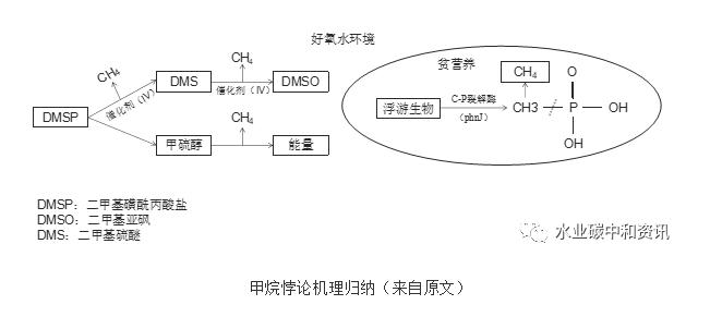 研究综述 | 水体甲烷悖论影响碳中和目标