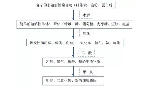 未来污泥处理的主流技术是什么？水处理倒逼污泥处理提速