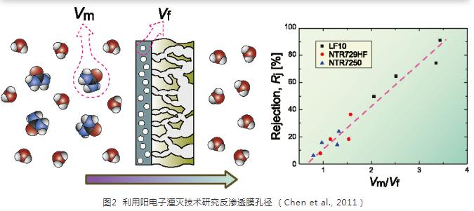 RO膜的有孔无孔之争与过滤模型