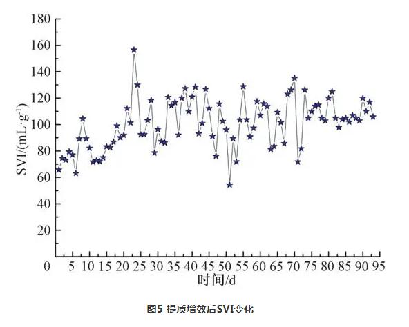 案例：提质增效对污水处理厂的影响分析