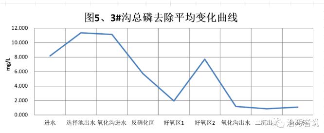 污水处理厂夏季运行中磷的去除问题探讨