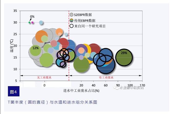 研究综述 | 生物除磷：T菌作用大于A菌？