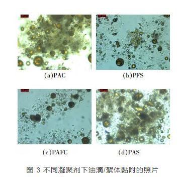 炼化污水化学混凝净化处理效果影响的实验研究