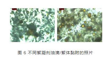 炼化污水化学混凝净化处理效果影响的实验研究